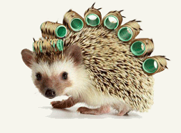 СОВА, ЛИСА И ЁЖ